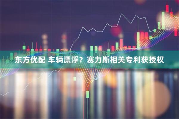 东方优配 车辆漂浮？赛力斯相关专利获授权