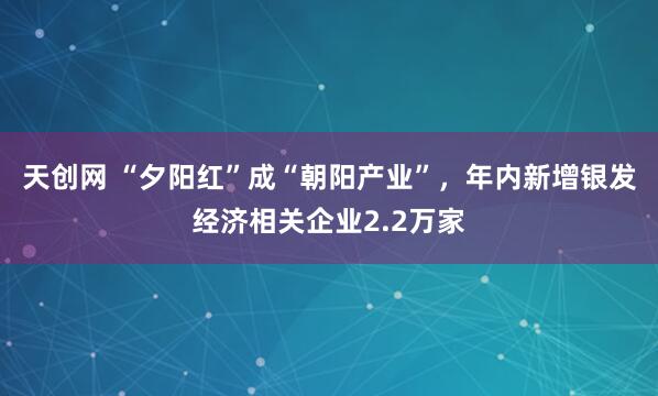 天创网 “夕阳红”成“朝阳产业”，年内新增银发经济相关企业2.2万家