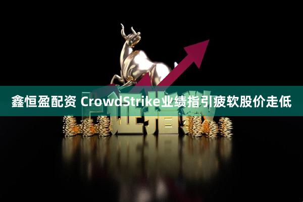 鑫恒盈配资 CrowdStrike业绩指引疲软股价走低