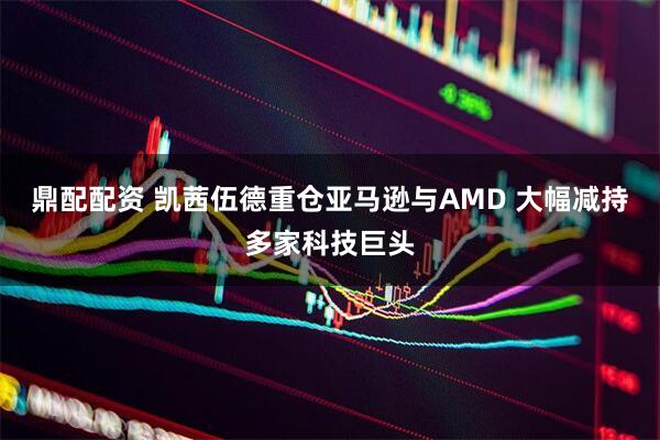鼎配配资 凯茜伍德重仓亚马逊与AMD 大幅减持多家科技巨头